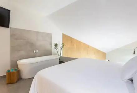 Higueron Malaga, Curio Collection by Hilton - 60