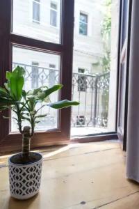 Gallery Hostel Tbilisi - 17