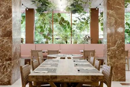 Piñero Bahia de Palma - 15