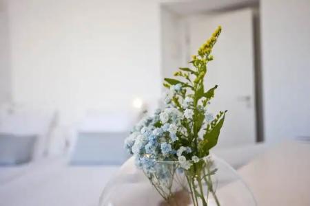 Galaxia Boutique - 33