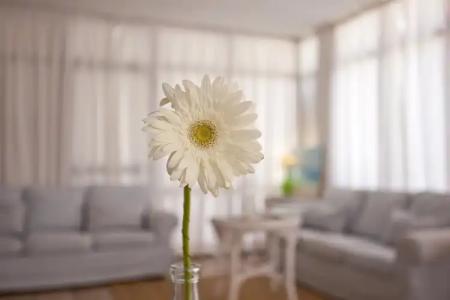 Galaxia Boutique - 29