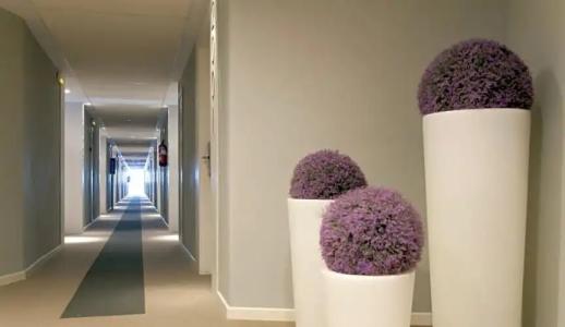 Estival Centurión Playa - 50