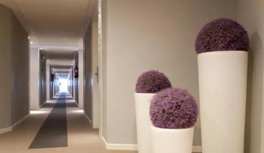 Estival Centurión Playa - 68