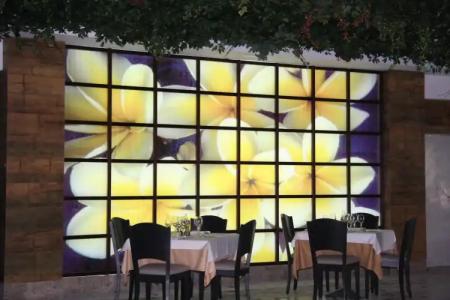 Holiday World Polynesia - 32