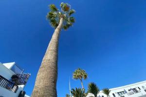 Апарт-отель «Plaza Azul», Пуэрто-дель-Кармен