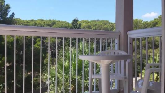 Canyamel Classic - 20