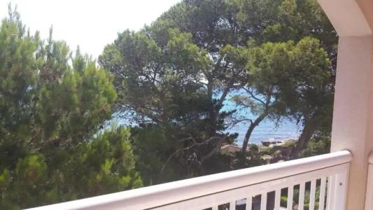 Canyamel Classic - 22