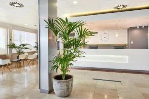 Отель «Globales Cala'n Bosch», Кала-эн-Бошч