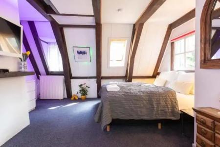 Tulip of Amsterdam - 35