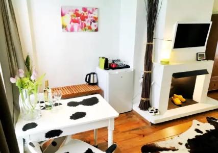 Tulip of Amsterdam - 11