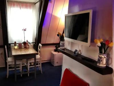 Tulip of Amsterdam - 13