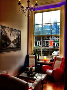 Tulip of Amsterdam - 25