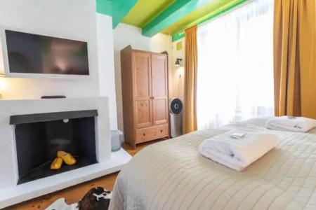 Tulip of Amsterdam - 31