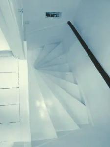 Tulip of Amsterdam - 23