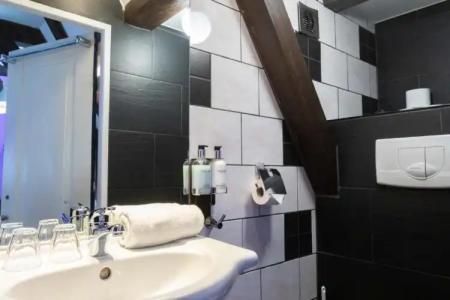 Tulip of Amsterdam - 40