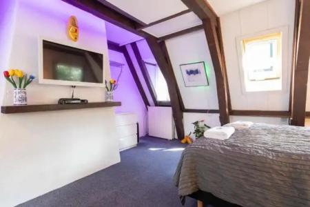 Tulip of Amsterdam - 39