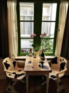 Tulip of Amsterdam - 24