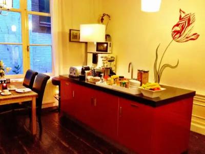 Tulip of Amsterdam - 20