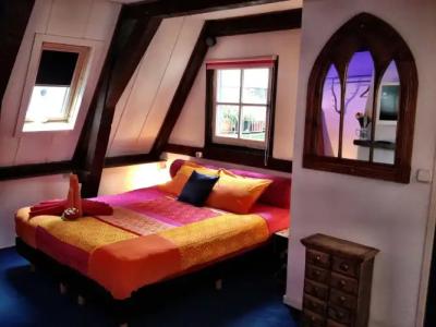 Tulip of Amsterdam - 16