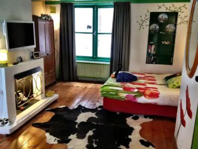 Tulip of Amsterdam - 19