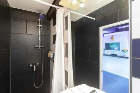 Tulip of Amsterdam - 28