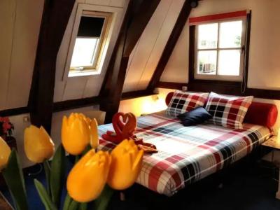 Tulip of Amsterdam - 15