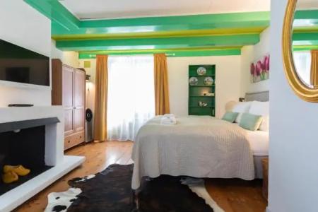 Tulip of Amsterdam - 42