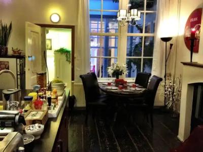 Tulip of Amsterdam - 21