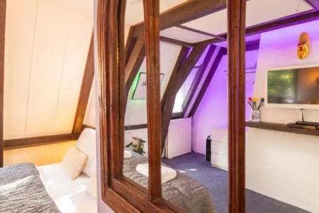 Tulip of Amsterdam - 37