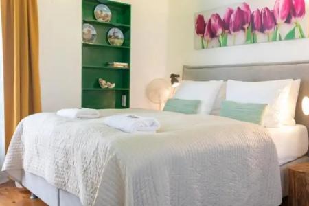 Tulip of Amsterdam - 32