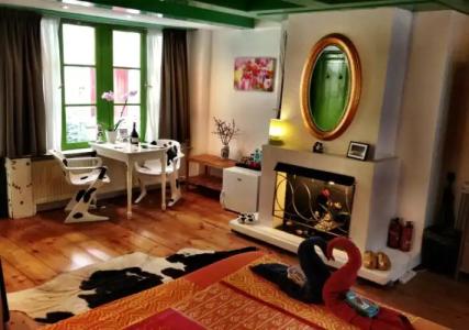 Tulip of Amsterdam - 10