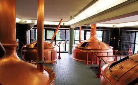Best Western Dam Square Inn - 13