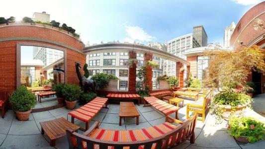 Giraffe by Library Hotel Collection - 16