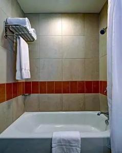 Giraffe by Library Hotel Collection - 30