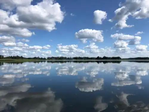 Мурашки - 7