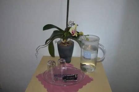 Pension Mahrets Puppenstube - 46