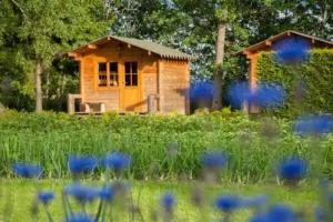 Гостевой дом «Oja Camping», Лейси