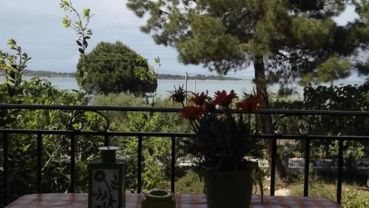 Pefka Studios & - 28