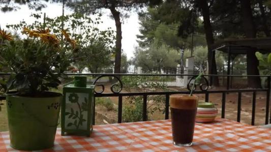 Pefka Studios & - 63