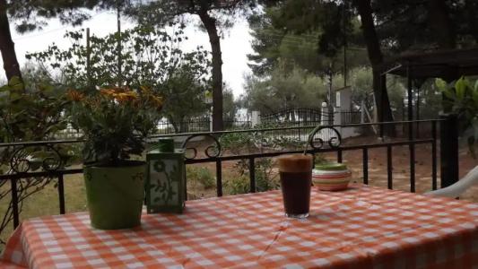 Pefka Studios & - 64