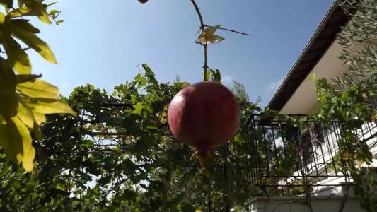 Pefka Studios & - 11