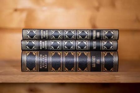 Langavatn Guesthouse - 34