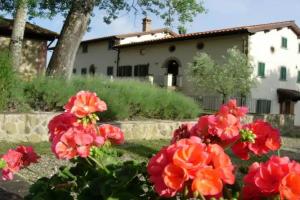 Агроусадьба «Fattoria di Belvedere», Поппи