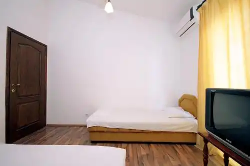 Nikolić - 19