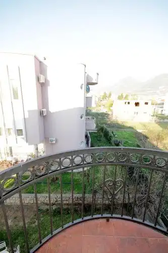 Nikolić - 27