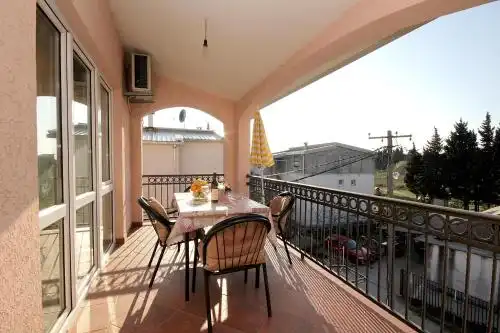 Nikolić - 37