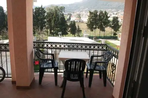 Nikolić - 34