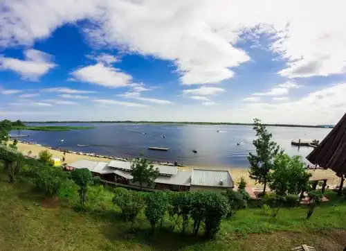 Подсолнух - 0