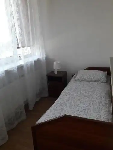 У совы - 33