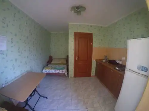 Кипарис на Красноармейском - 36